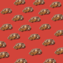 Load image into Gallery viewer, Keto Wise Fat Bombs Crispy Caramels